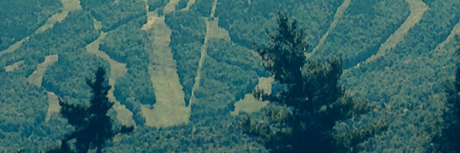 sarsenault2020's profile banner image
