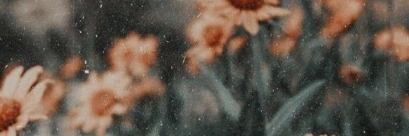 DesousaVC's profile banner image