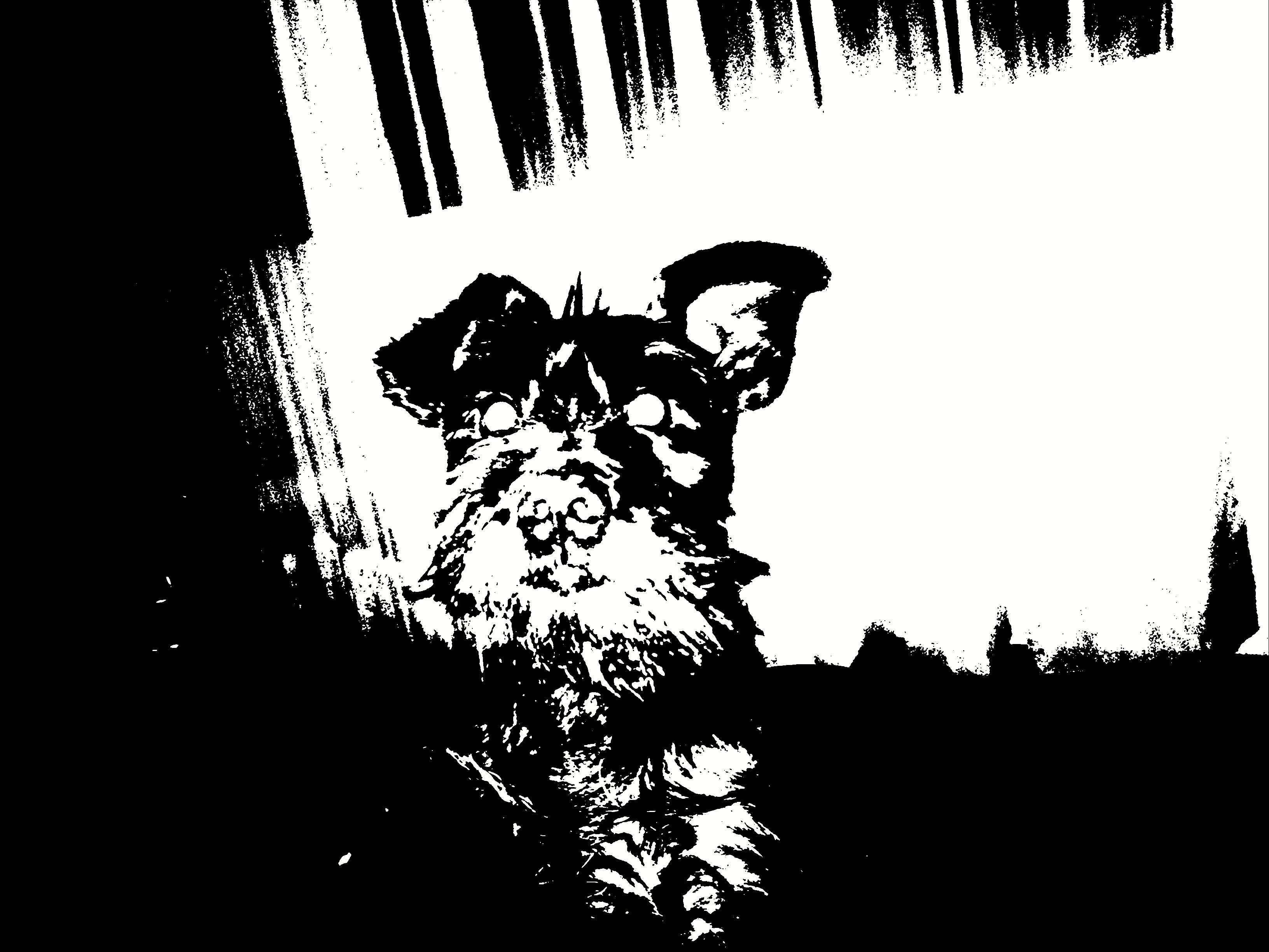 Sebastian_S4's profile banner image
