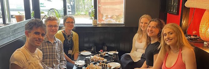 Webster Group banner