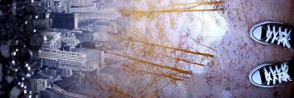 Allison Lau banner