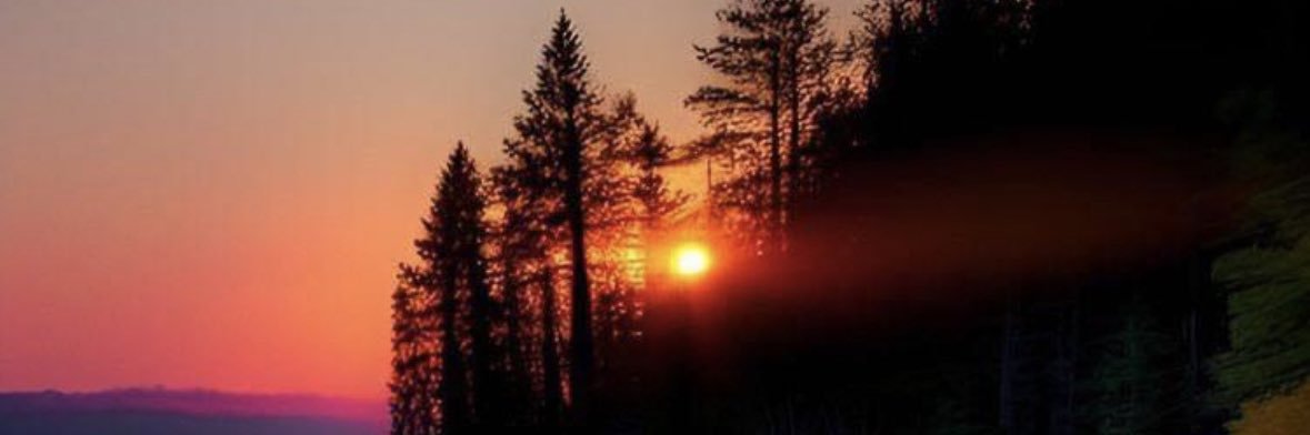 BergTracy's profile banner image