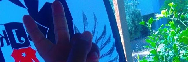ALY banner