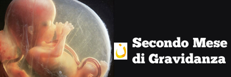 padrezampa's profile banner image