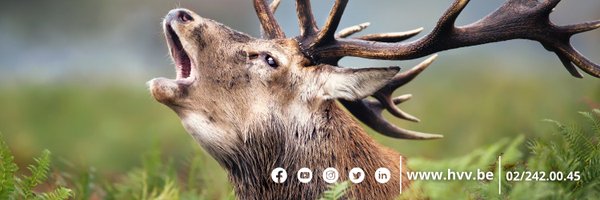 HVV_Hubertus Profile Banner