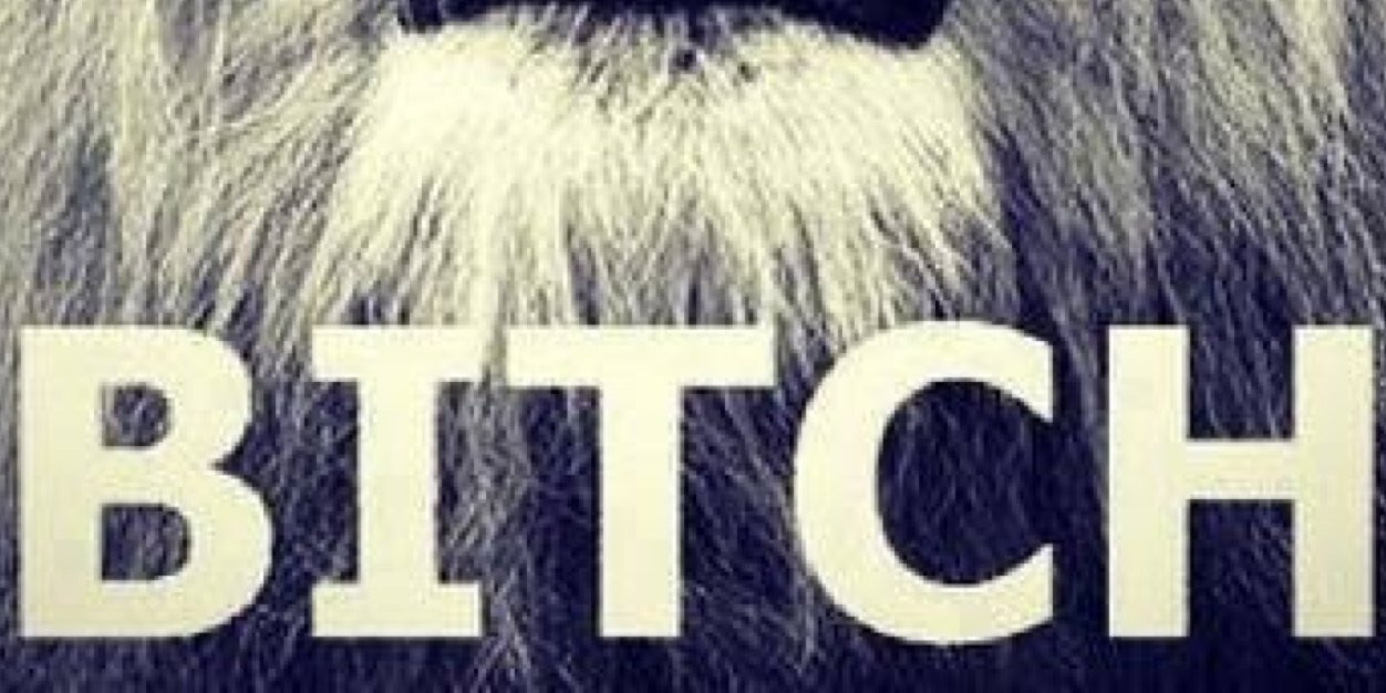 SSztajnbock's profile banner image