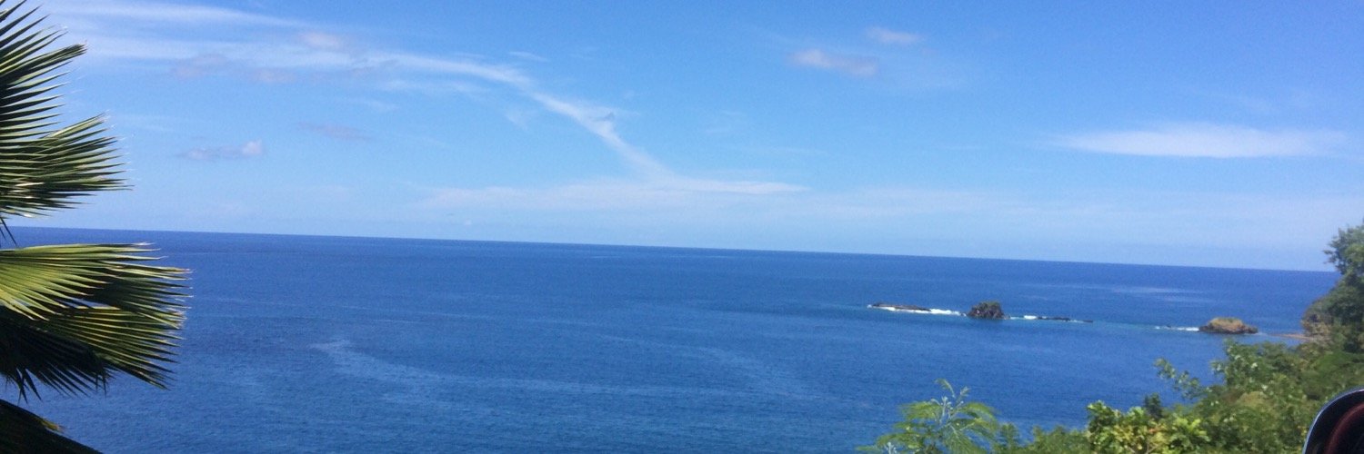 theonesll's profile banner image