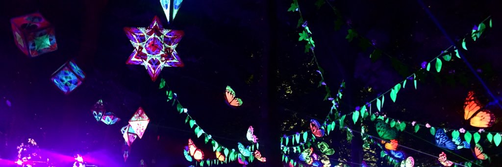 cassidy_daisy's profile banner image