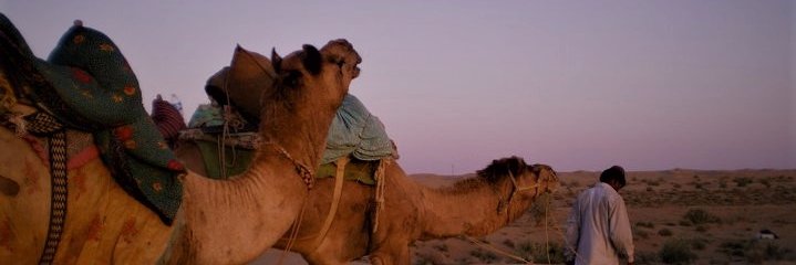 Bronwen Dalley Smith banner