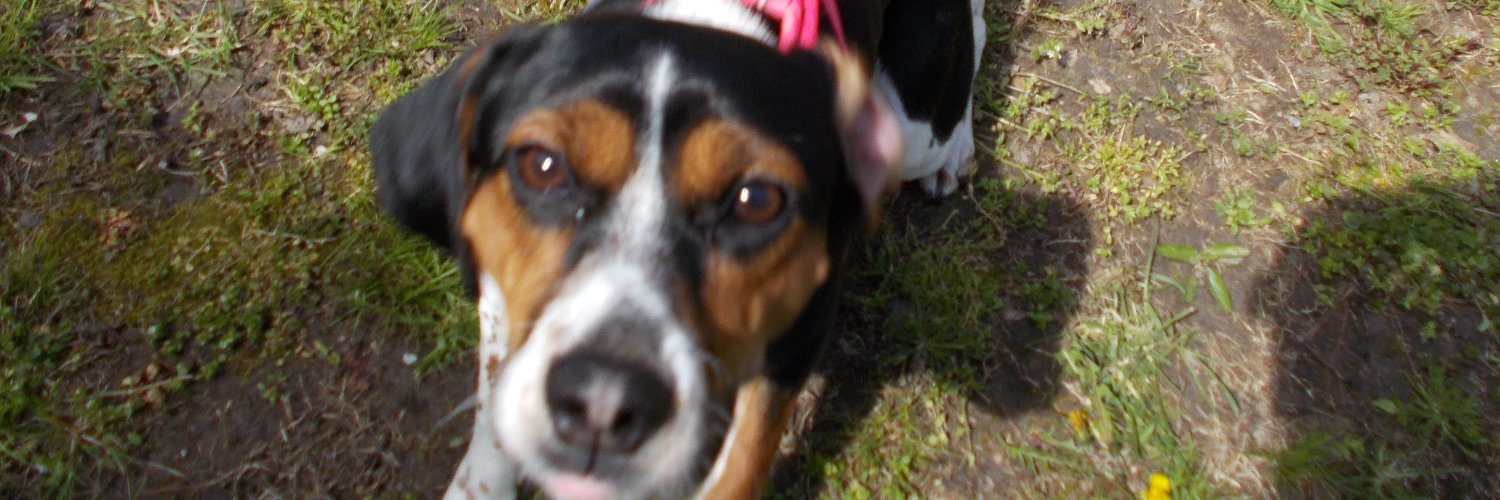 FatherofJames banner