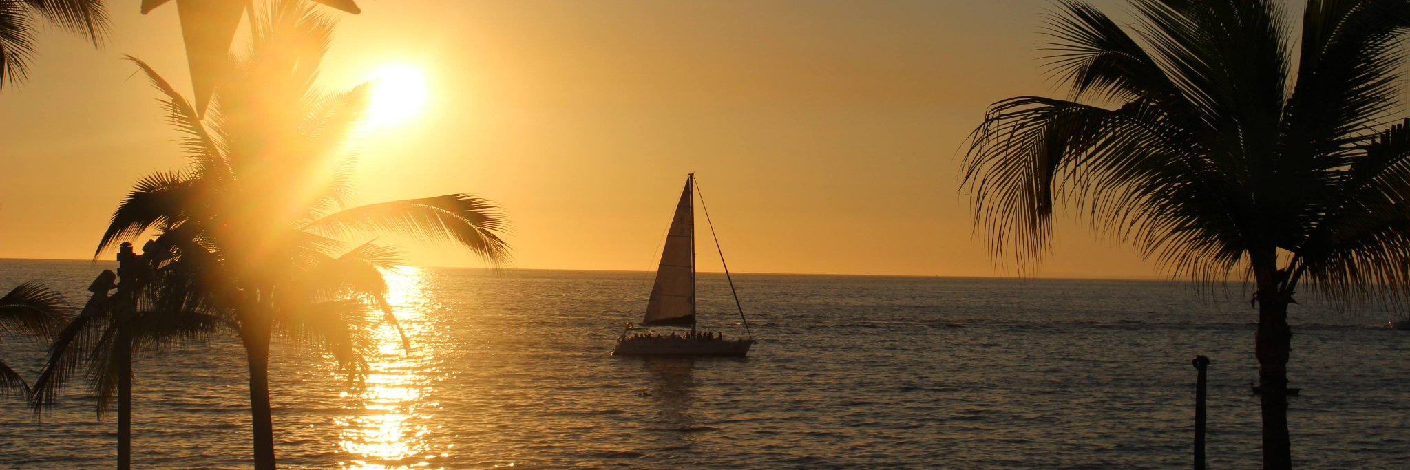 Toby Henniker-Heaton banner