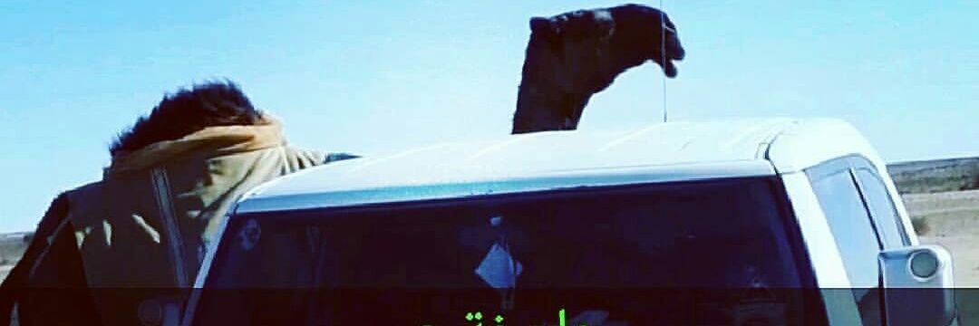 ffofff_'s profile banner image