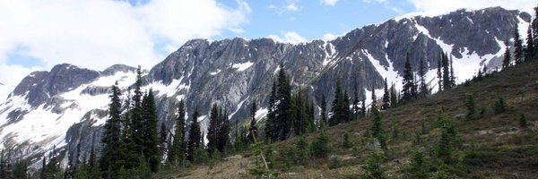 KatCogSci Profile Banner