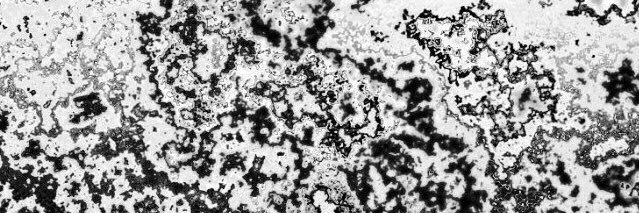 psypugdelic's profile banner image