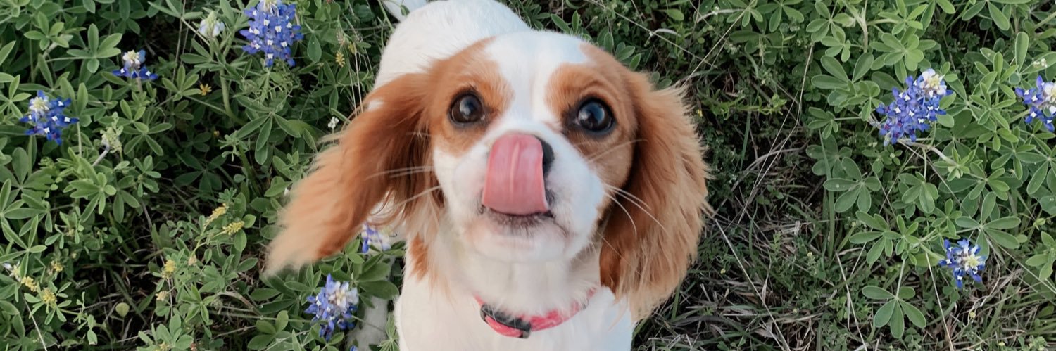 Darrrby_'s profile banner image