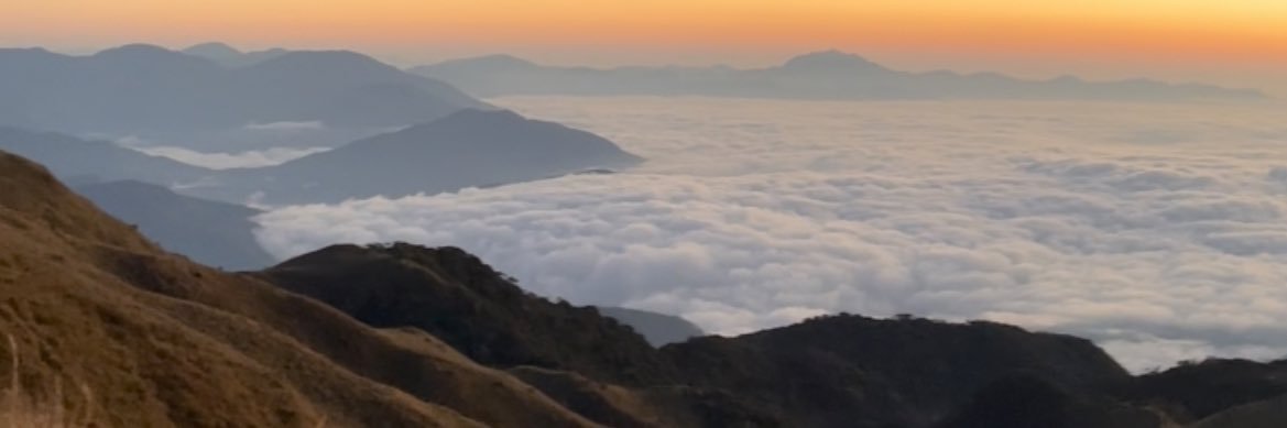 acarriola_'s profile banner image