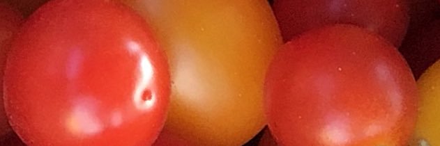 ByardBama's profile banner image