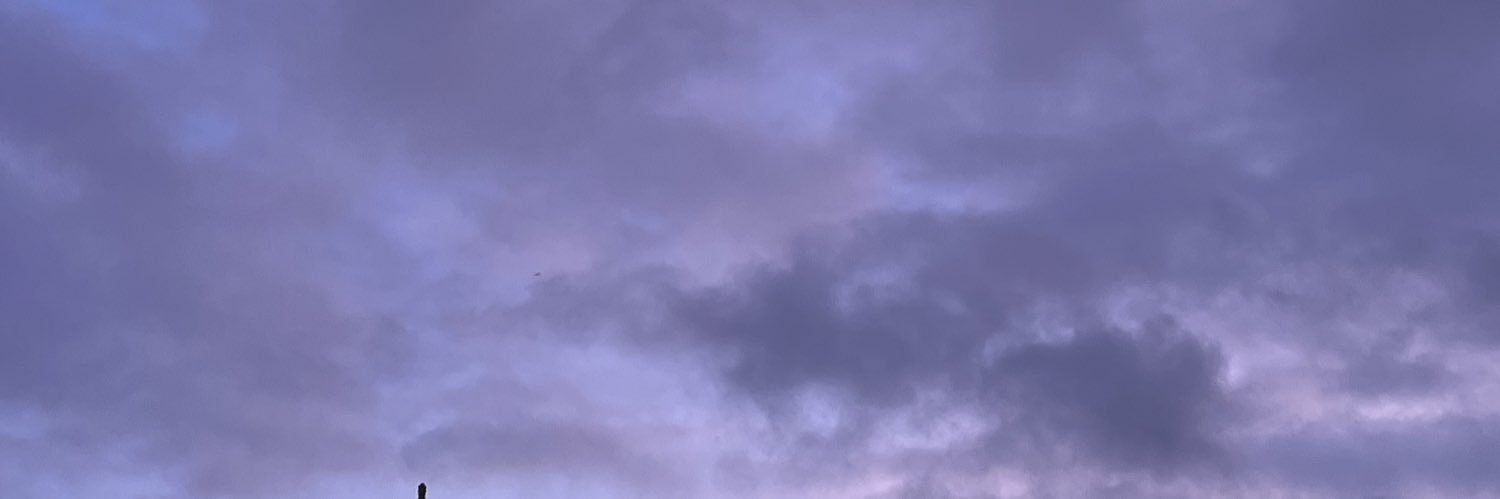 adderallsmom's profile banner image