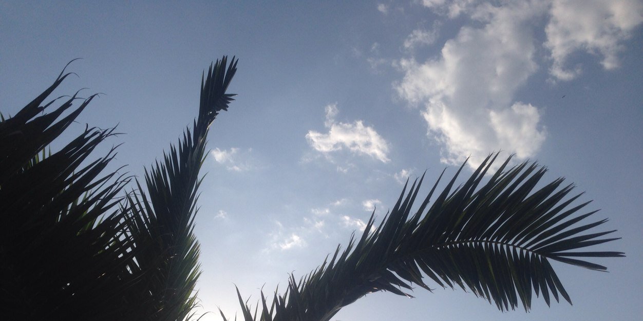 qmmohsin's profile banner image