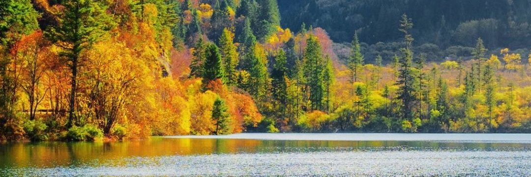 live_with_intent banner