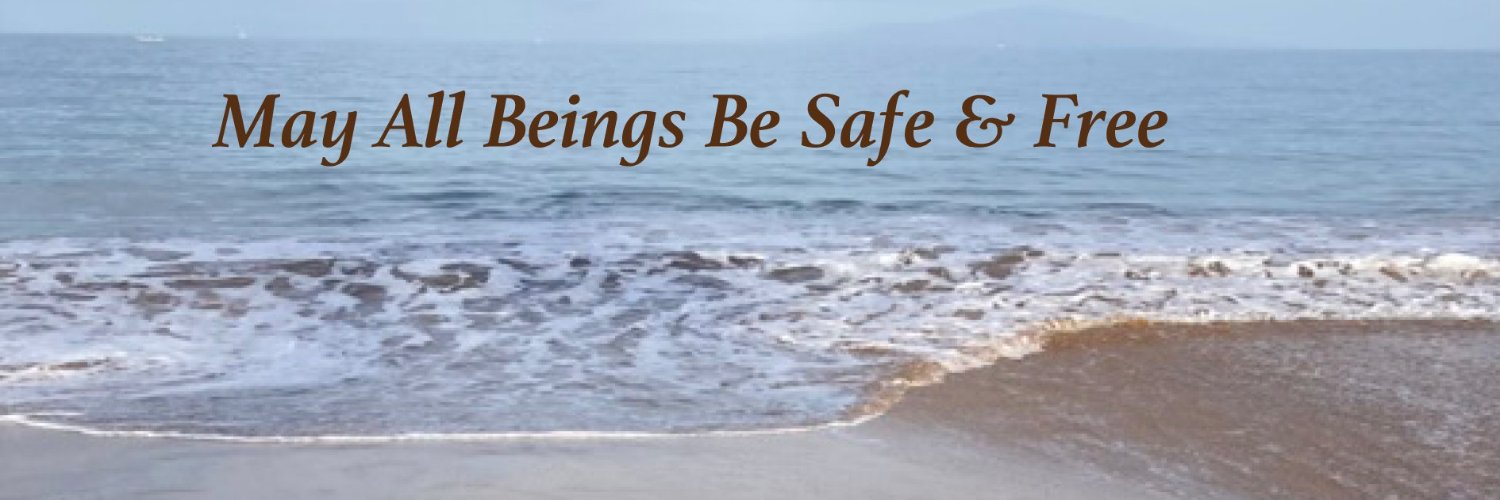 CarolAnn Barrows 😷 🍍 🙏 banner