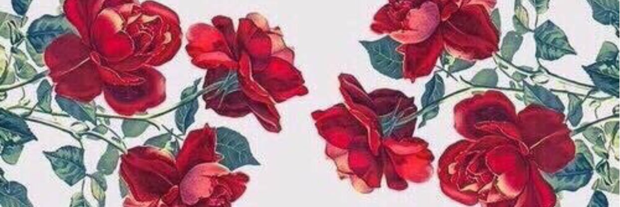 _ChandlerRoss_'s profile banner image