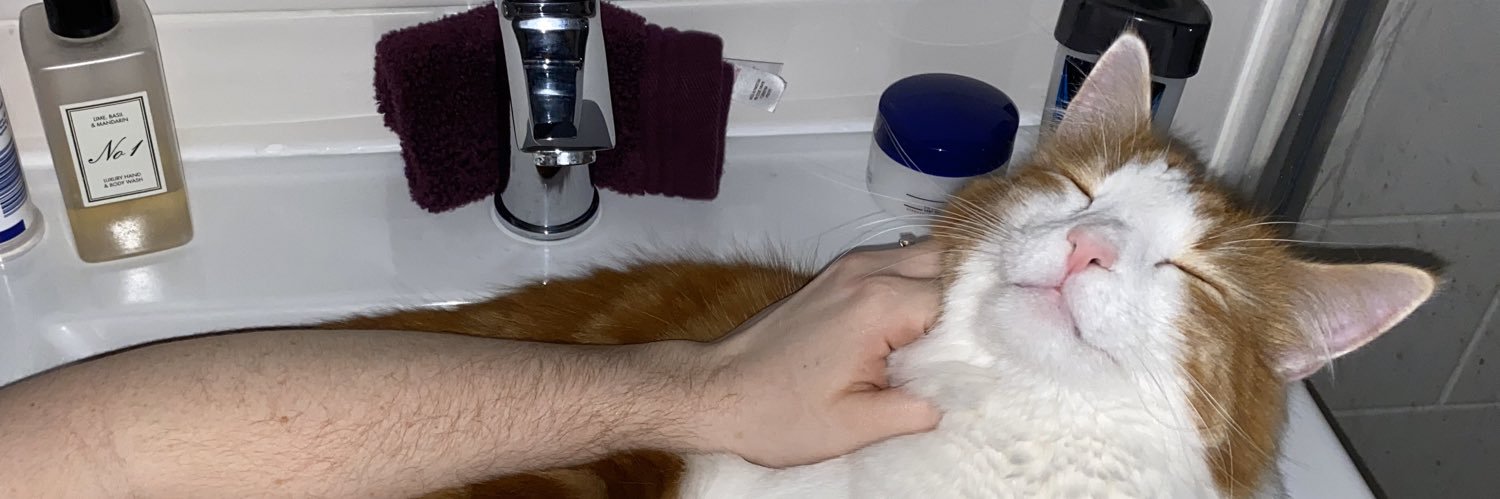 TheWammy's profile banner image