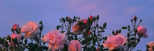 _VirGuerra's profile banner image