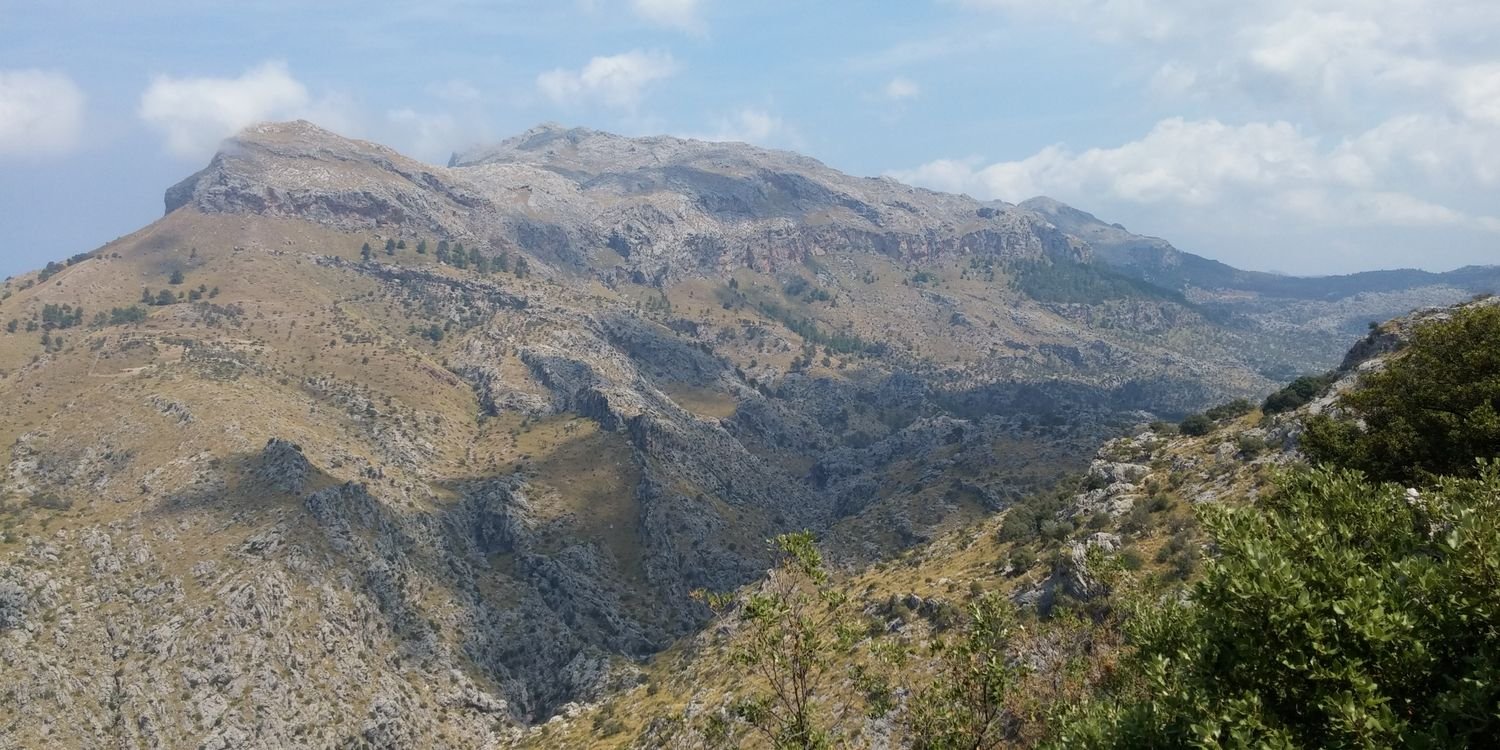 freddejoo's profile banner image