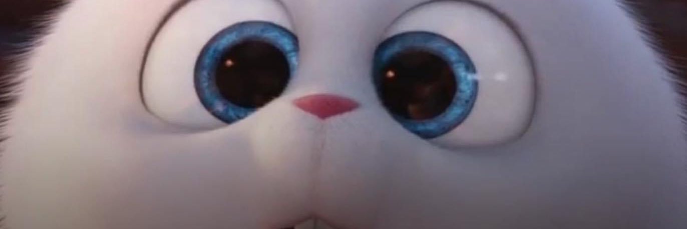 EmilyMly2's profile banner image