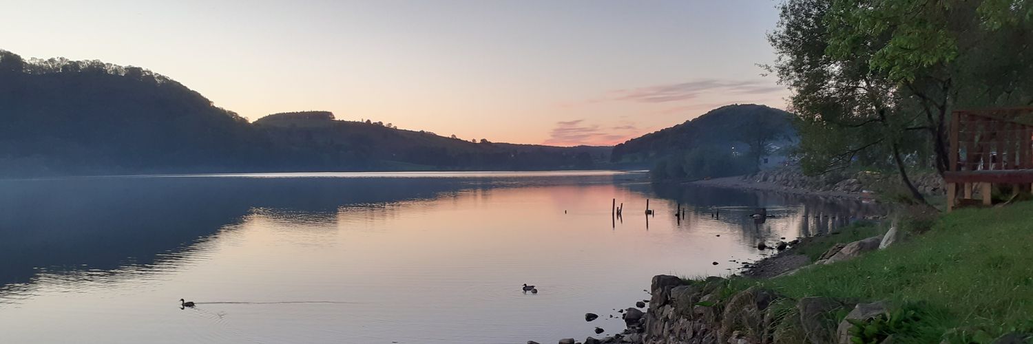 Michelle Minton banner