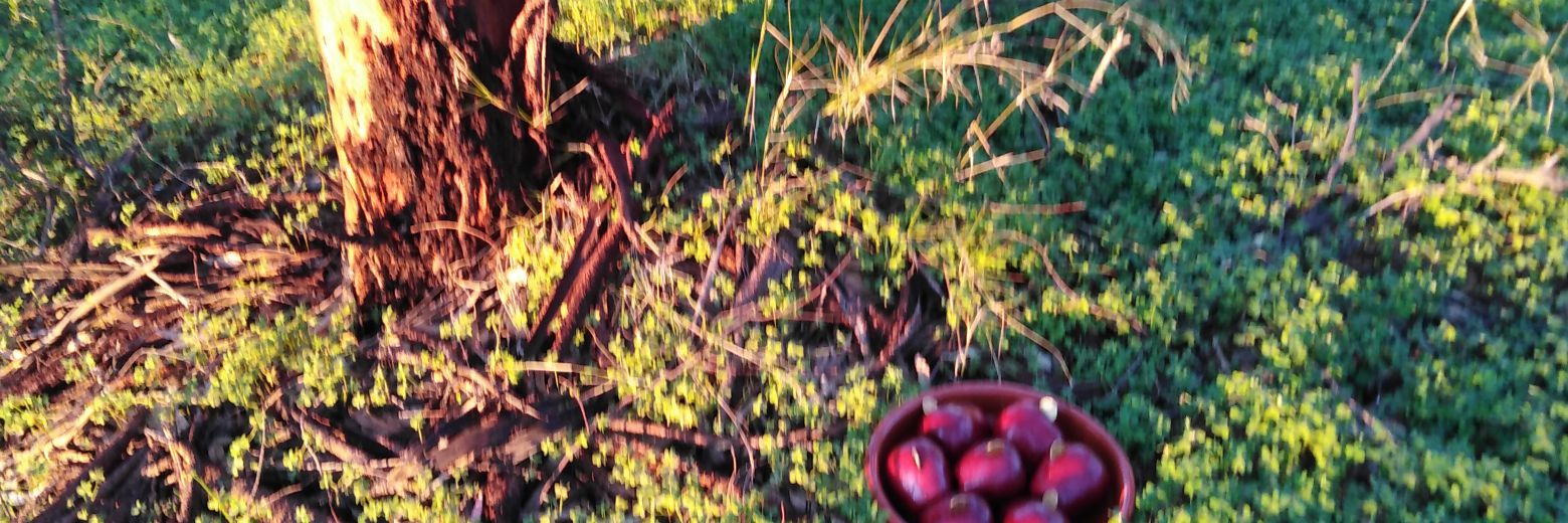 BeConstantino's profile banner image