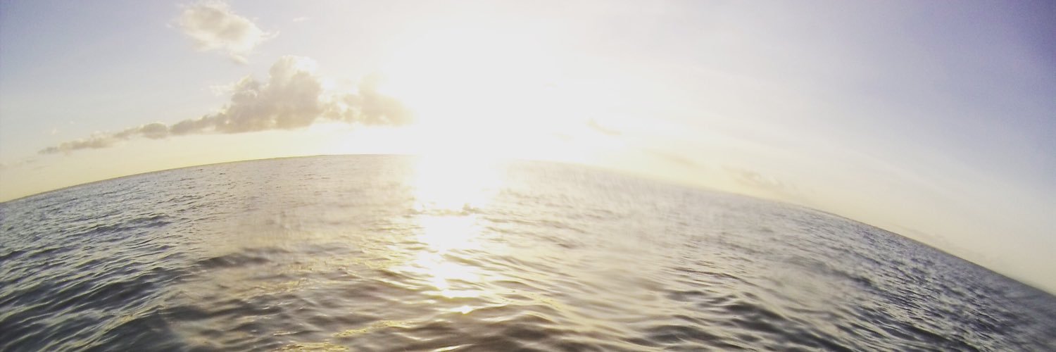 LinusLiindh's profile banner image