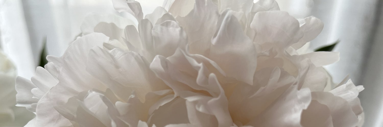 hasukuti's profile banner image