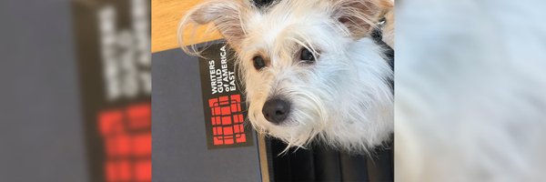 thedodounion Profile Banner