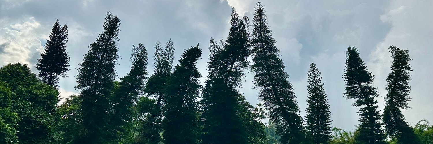 НЁХ-редактор banner