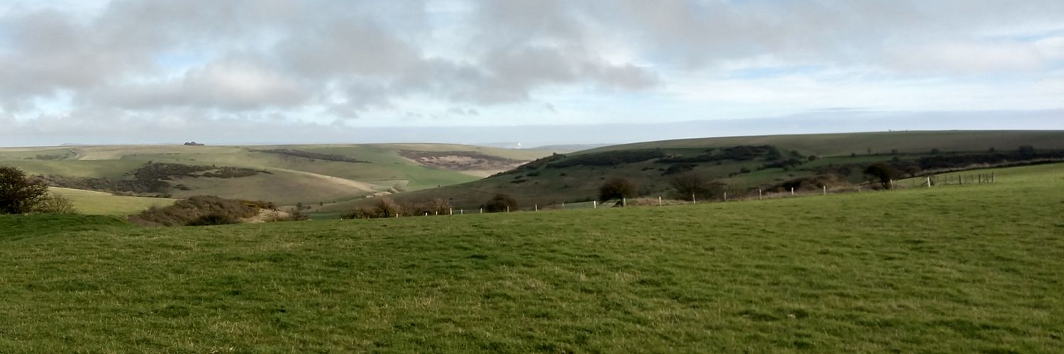 Imaginary dog 💙 banner