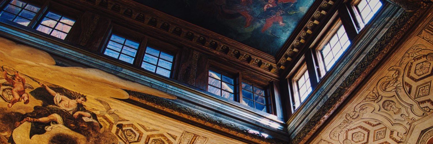 chlownfish's profile banner image