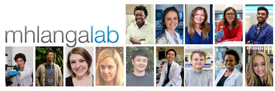mhlangalab's profile banner image