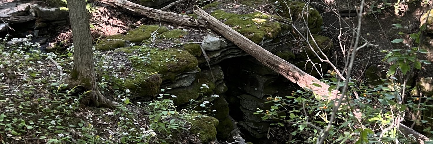 dirtl0ver's profile banner image