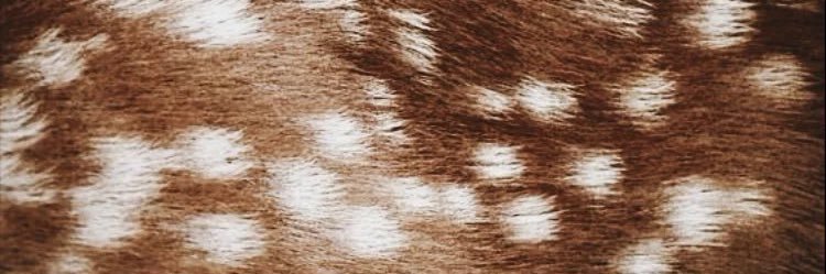 🧁🤎 banner