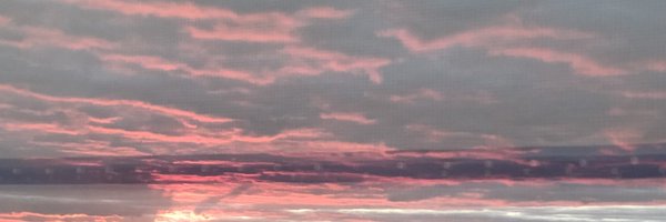 LeiTian14 Profile Banner