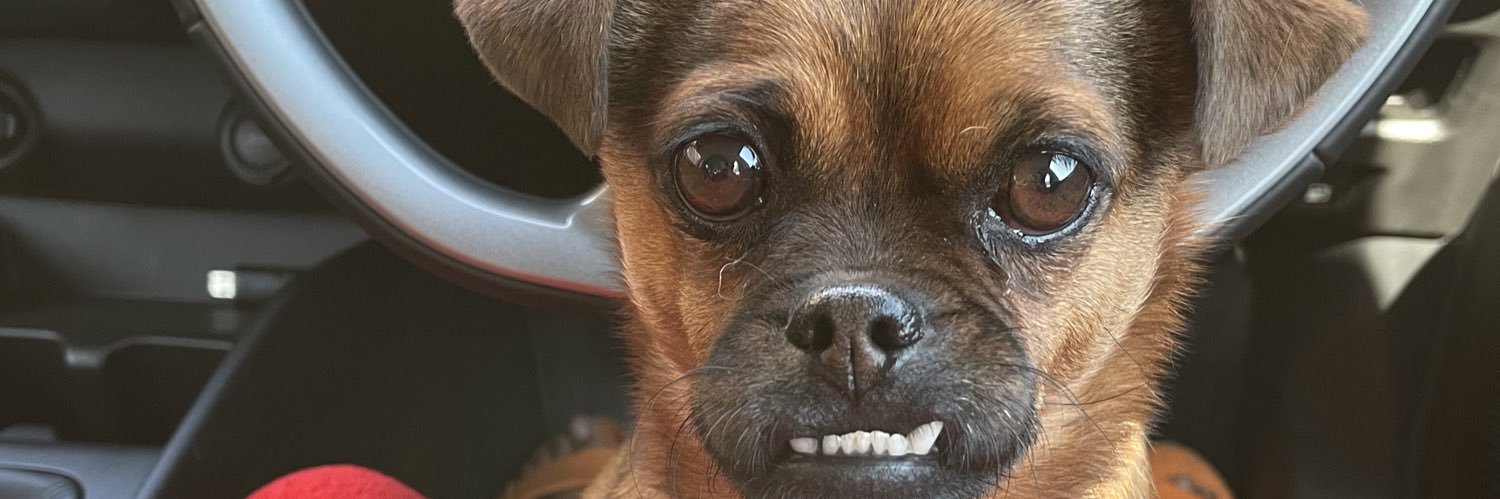 ThandoUbisi's profile banner image