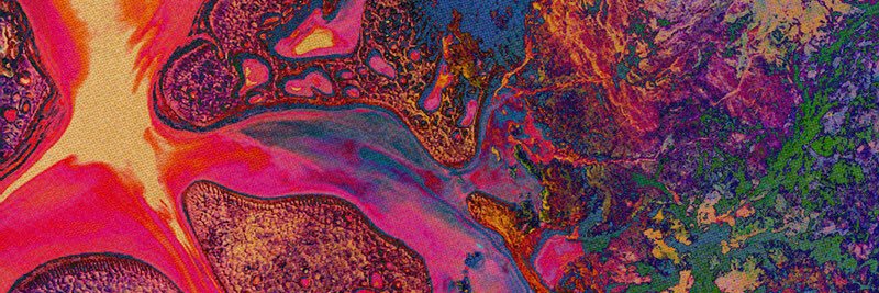 Blimmmer's profile banner image