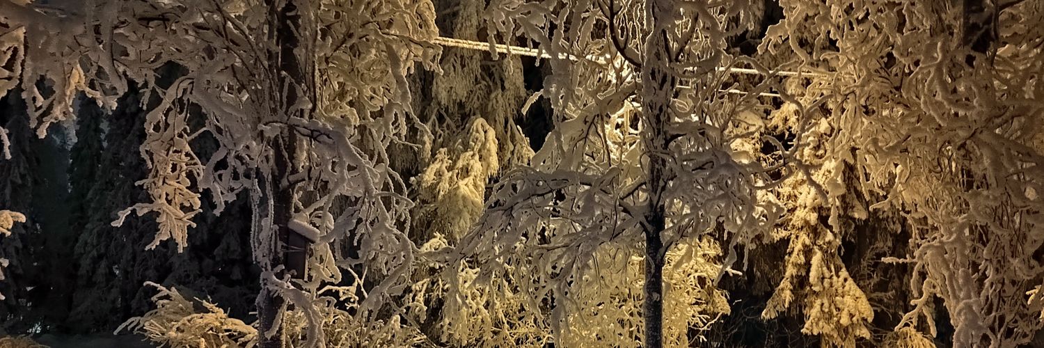 Kari Väärälä banner