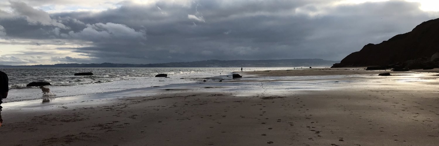 peter_gilpin's profile banner image