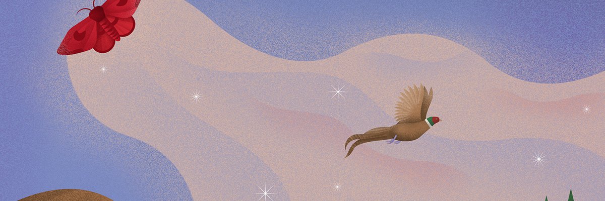 JayCIllustrates's profile banner image