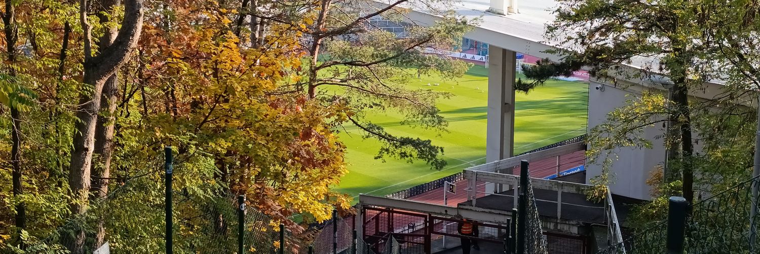 cyprien🇨🇿 banner