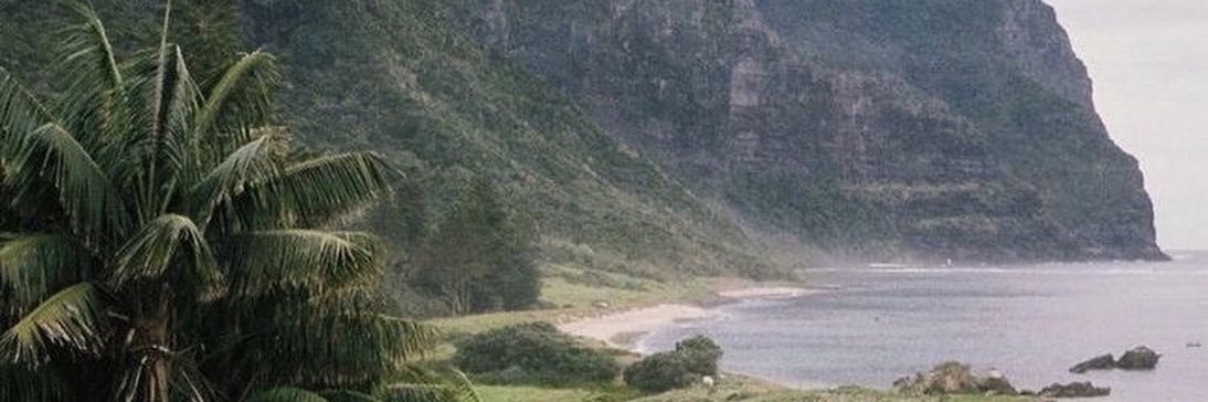 aaliyah ✿ banner