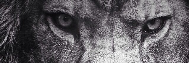 LeJewelion's profile banner image